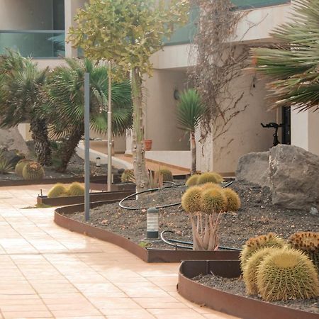 Casa Aloe Vera El Cotillo  Ngoại thất bức ảnh